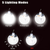 Camp Lighting