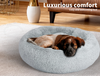 Dog Beds