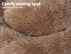 Dog Beds