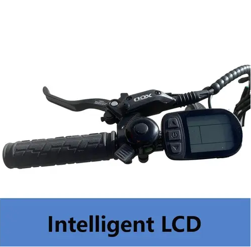 Electric Bikes