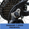 Electric Bikes