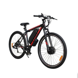 Electric Bikes