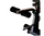 Gym Equipments