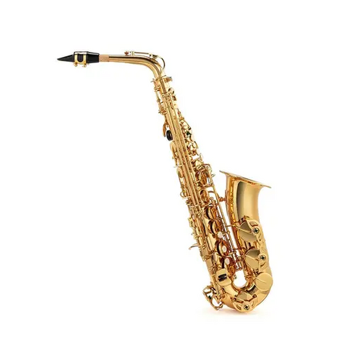 Musical Accessories