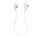 Sports Headphones