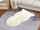 Wool Rugs