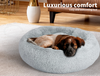  Dog Beds