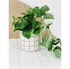 Prime Deal Artificial Trailing Greenery in Pot