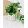 Prime Deal Artificial Trailing Greenery in Pot