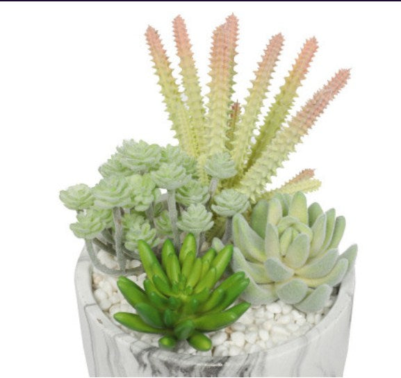 Potted Artificial Succulent Bowl with Marble Pot 20.5cm