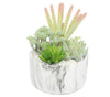 Potted Artificial Succulent Bowl with Marble Pot 20.5cm