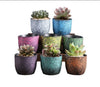 Ceramic Clay Pottery Pots Set Succulent Flower Planter Series 03(Style 01# 8 Pots Set)