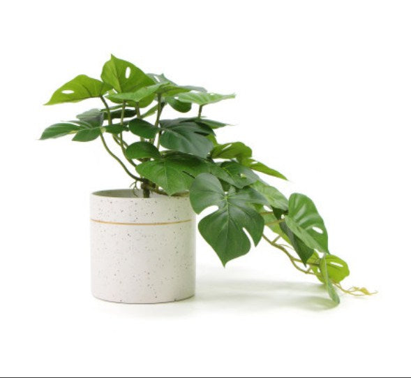 Decorative Ceramic Bowl Potted Artificial Monstera Plant 30cm