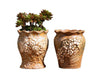 Ceramic Clay Pottery Pots Set Succulent Flower Planter Series 02(Style 01# 2 Pots Set)