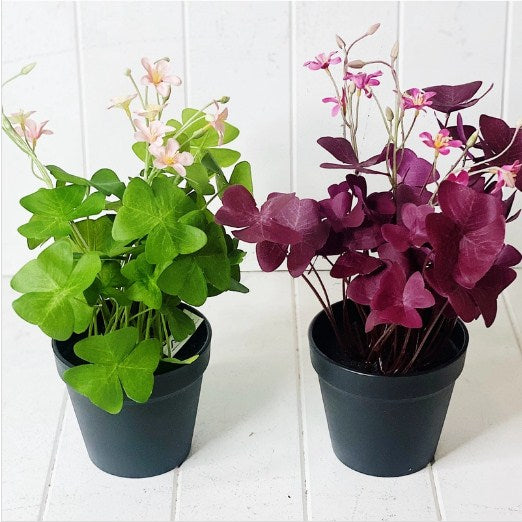 Prime Deal Artificial Clover in Pot - 35cm