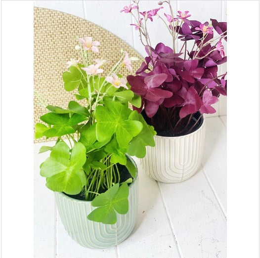 Prime Deal Artificial Clover in Pot - 35cm