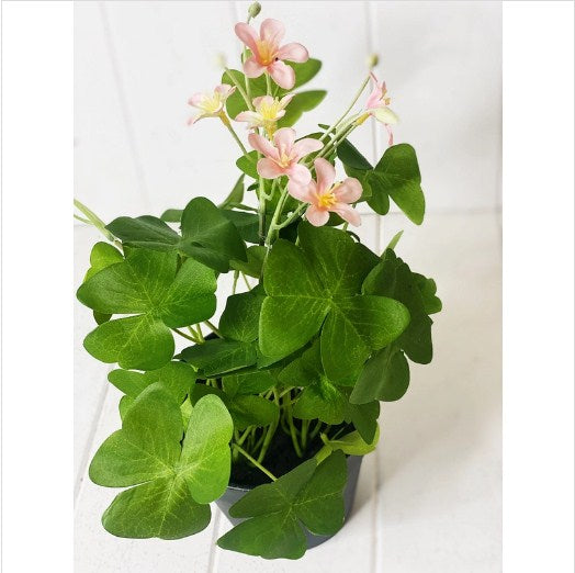 Prime Deal Artificial Clover in Pot - 35cm