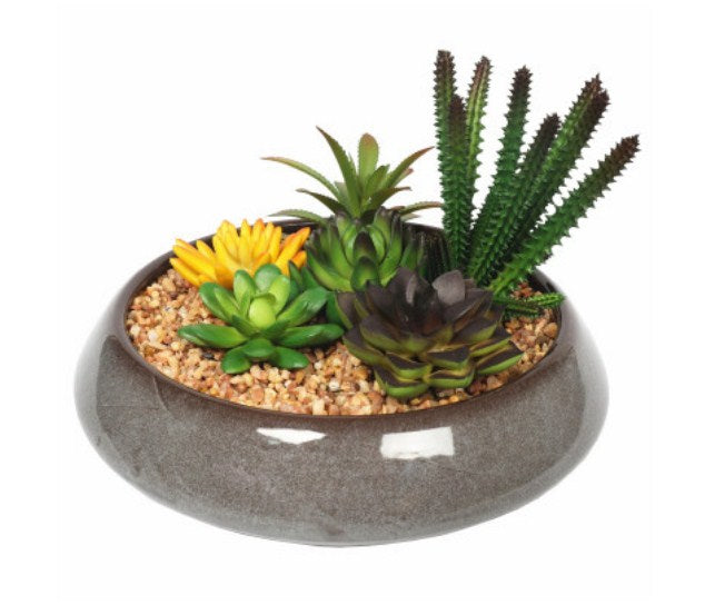 Prime Deal: Potted Artificial Succulents with Round Decorative Bowl (19cm)