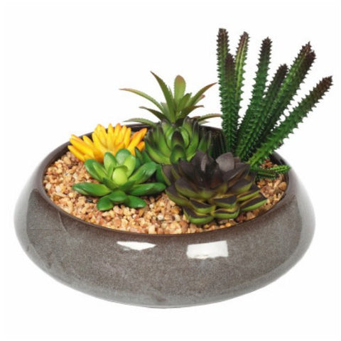 Prime Deal: Potted Artificial Succulents with Round Decorative Bowl (19cm)