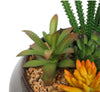 Prime Deal: Potted Artificial Succulents with Round Decorative Bowl (19cm)