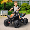 Electric Quad Bikes