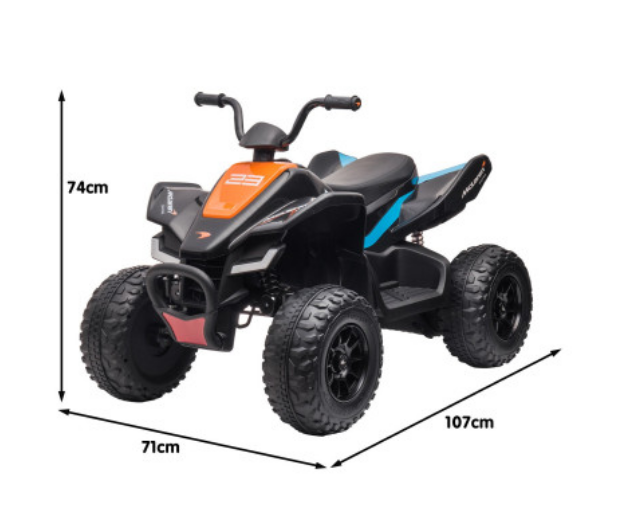 Electric Quad Bikes