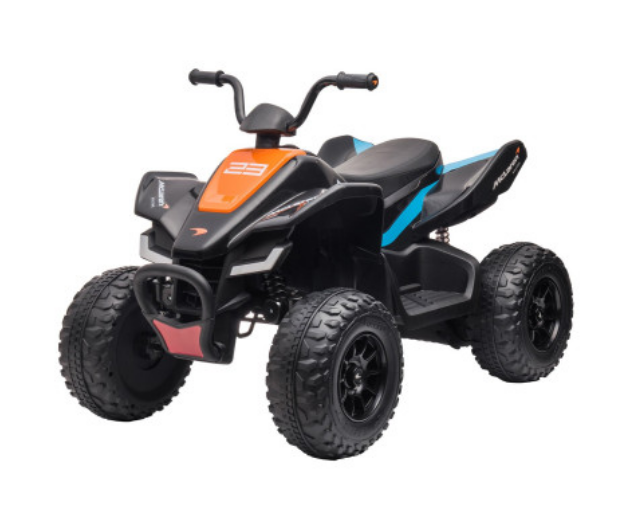 Electric Quad Bikes