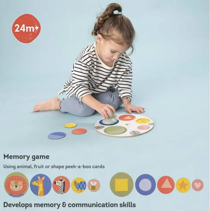  Interactive Toys