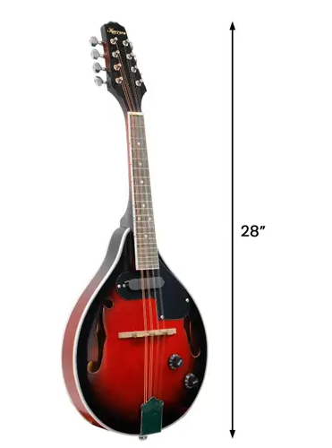 Karrera 8-String Electric Mandolin