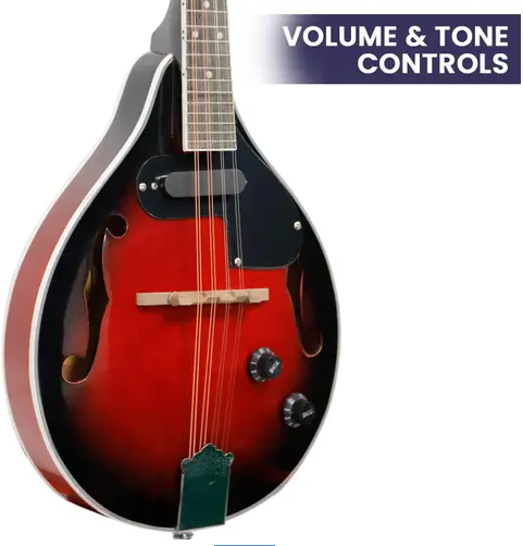 Karrera 8-String Electric Mandolin