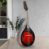 Karrera 8-String Electric Mandolin