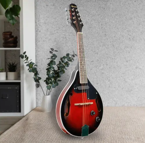 Karrera 8-String Electric Mandolin