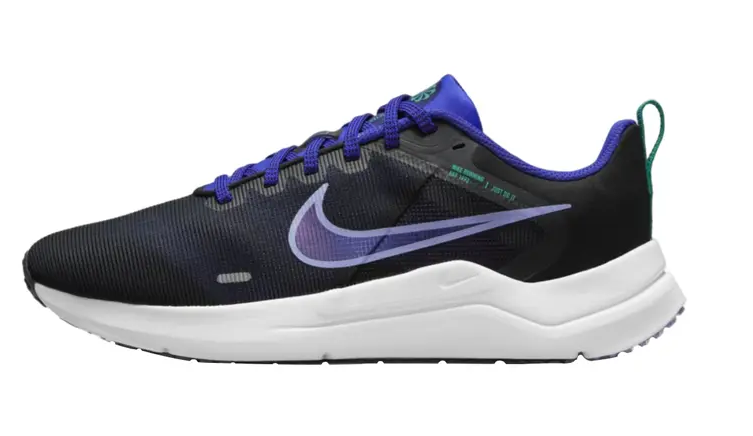 Nike DownShifter 12